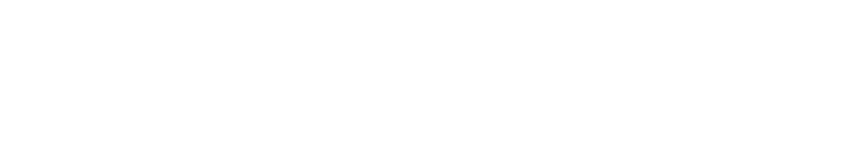 Norvik Tech