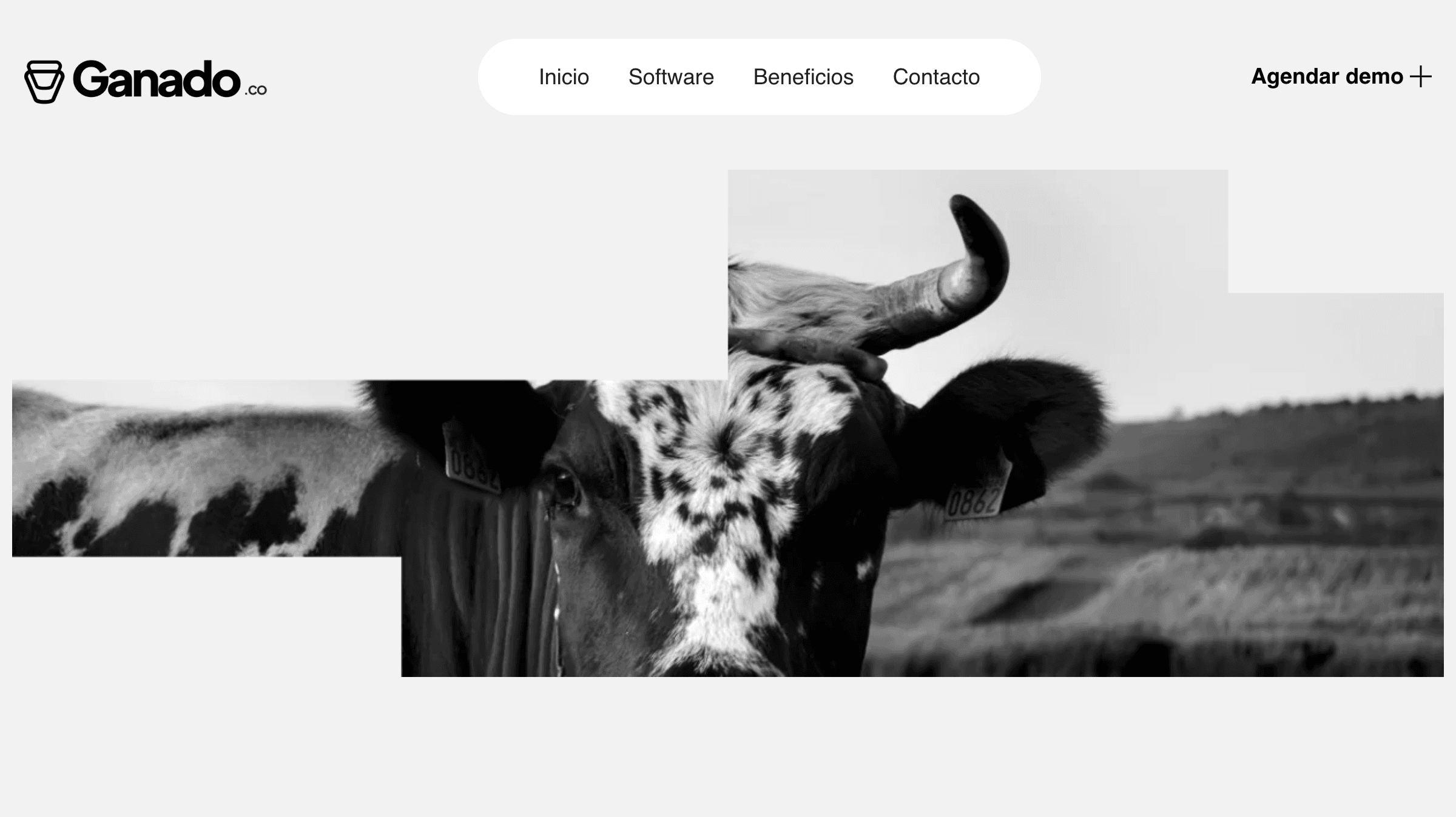 Ganado.co - Image 2