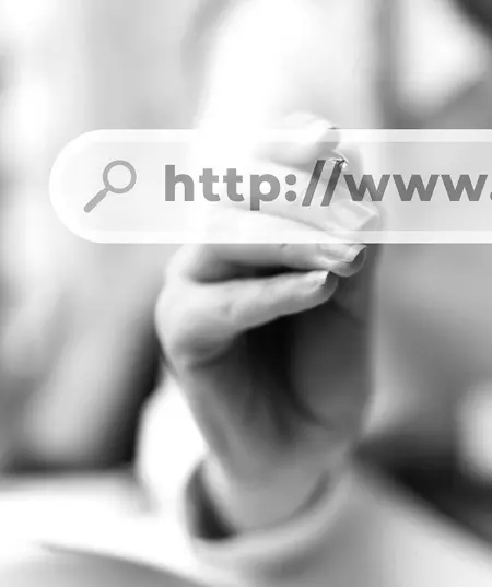 Web development service 1