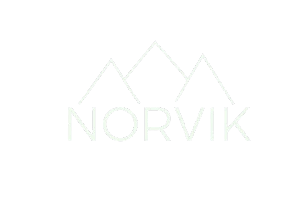 Norvik Tech