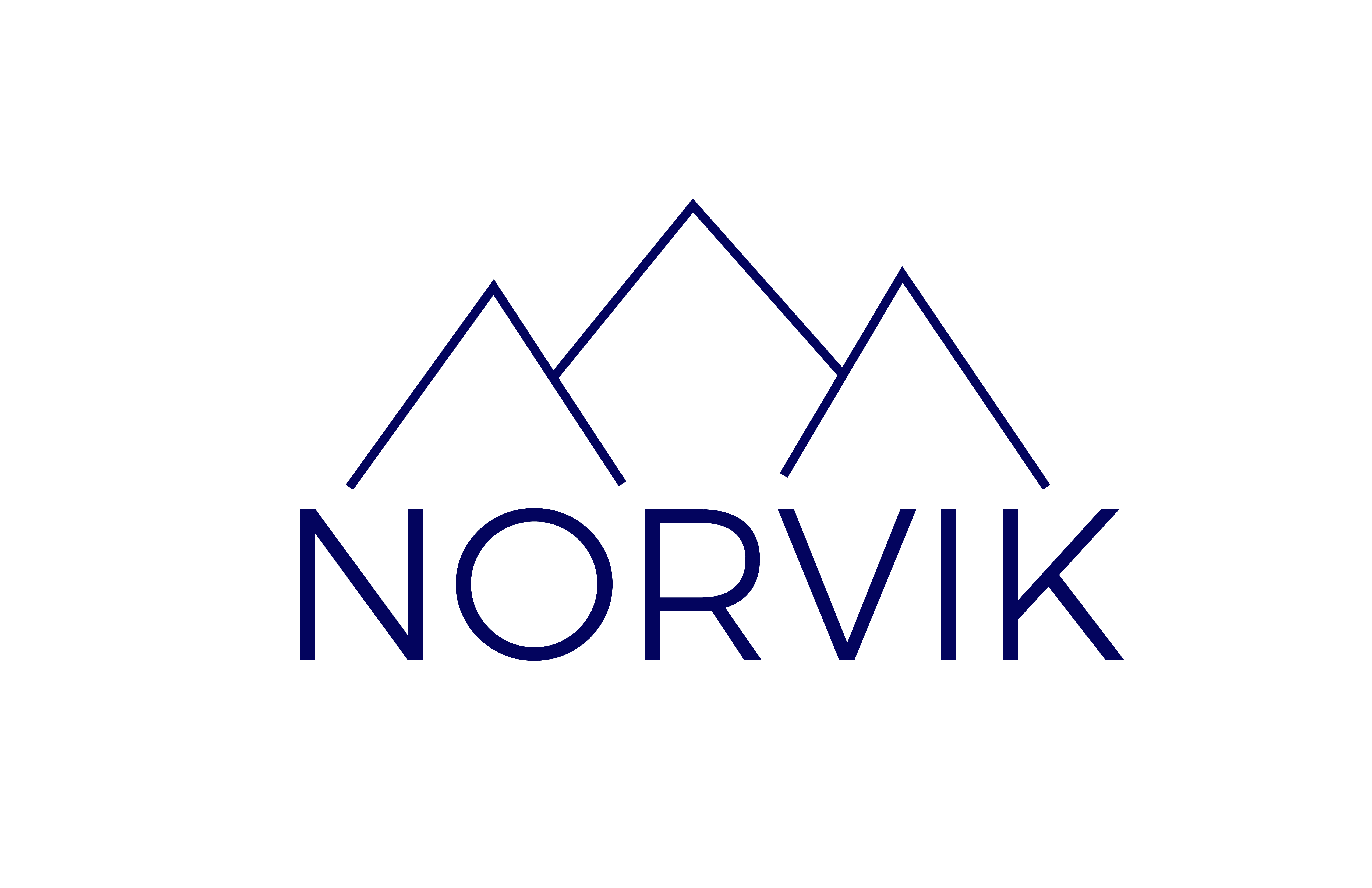 Norvik Tech